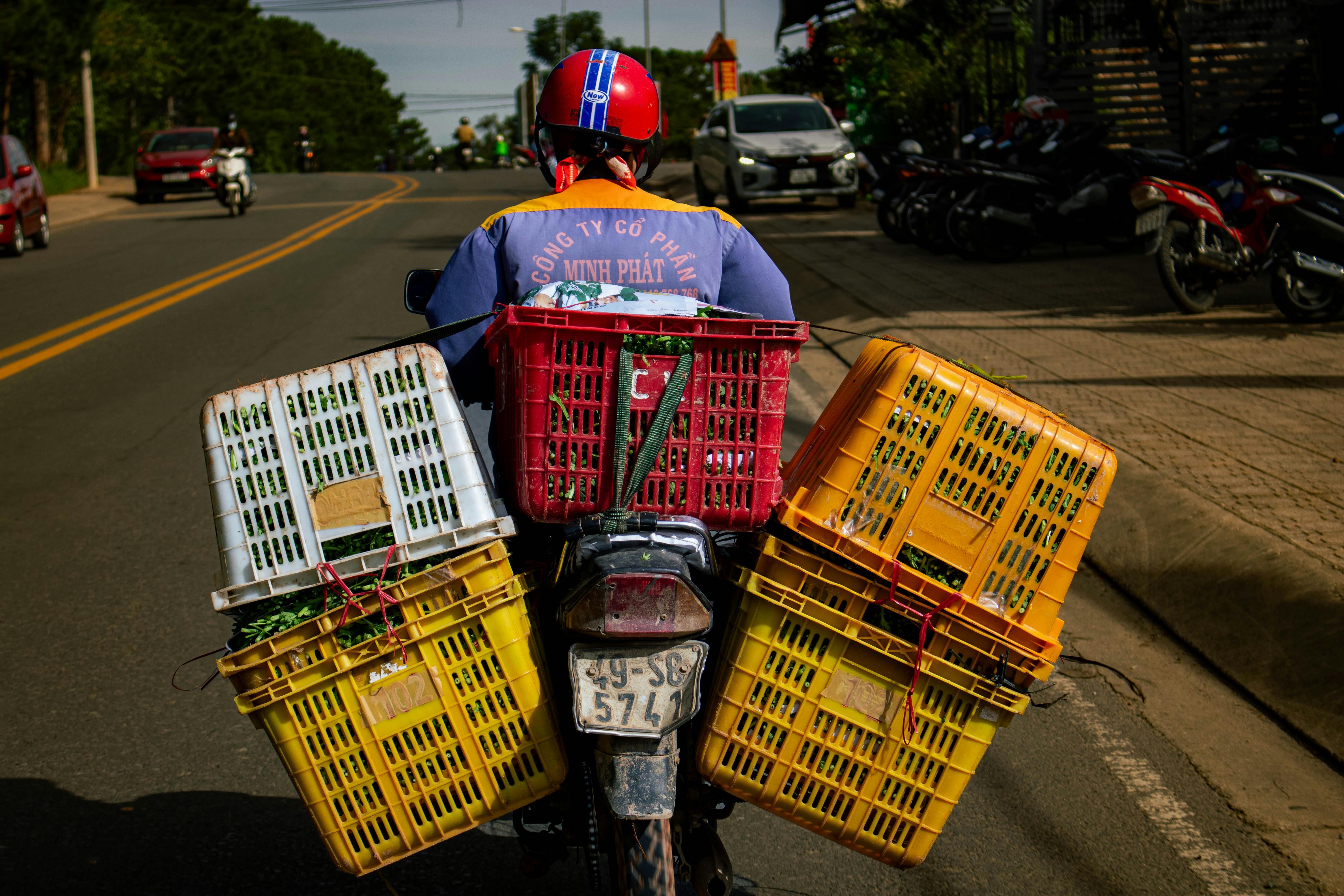 Harvesting Hope: The Fruits of Hard Work and Resilience