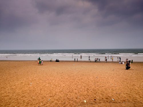 Free stock photo of beach, beautiful, dark