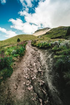 Dramatic mountain trail leading to Malinche Peak under a bright blue sky. Perfect for outdoor and adventure themes.