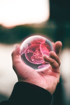 在户外，透过手中的水晶球，我看到了一只迷人的红色水母