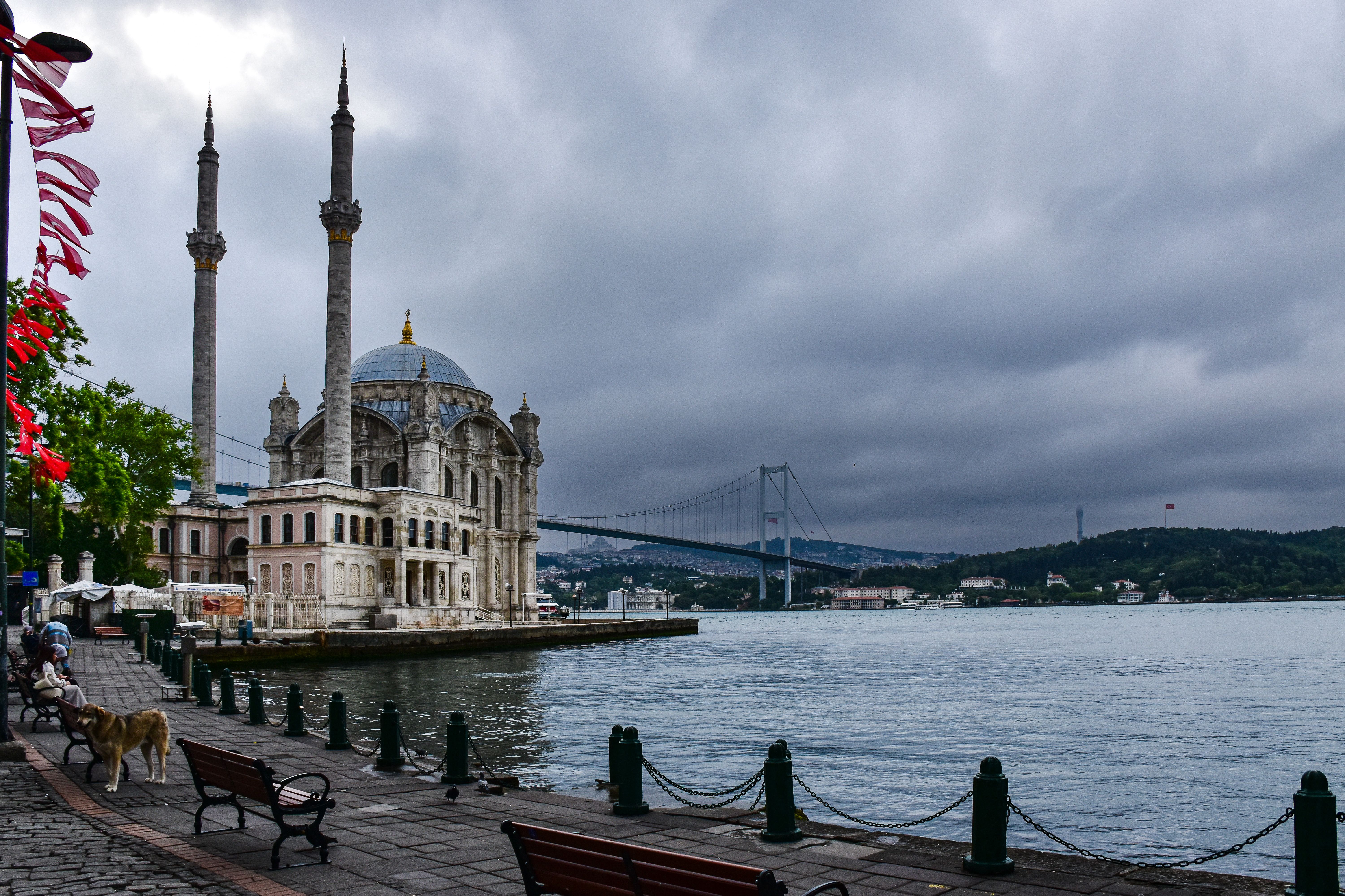 A view of a mosque and a bench on the water · Free Stock Photo