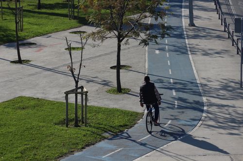 Free A man cycling on a sunny day along a city bike path in İstanbul, Türkiye. Stock Photo
