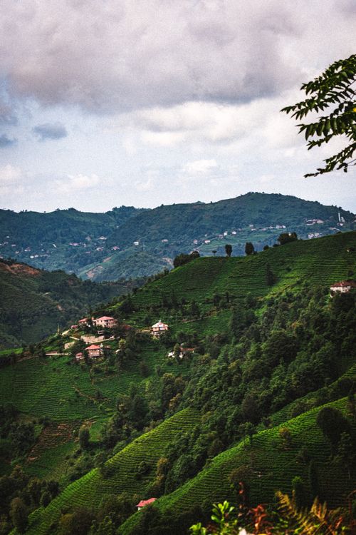 Free Captivating landscape of green hills with scattered houses under a cloudy sky. Stock Photo