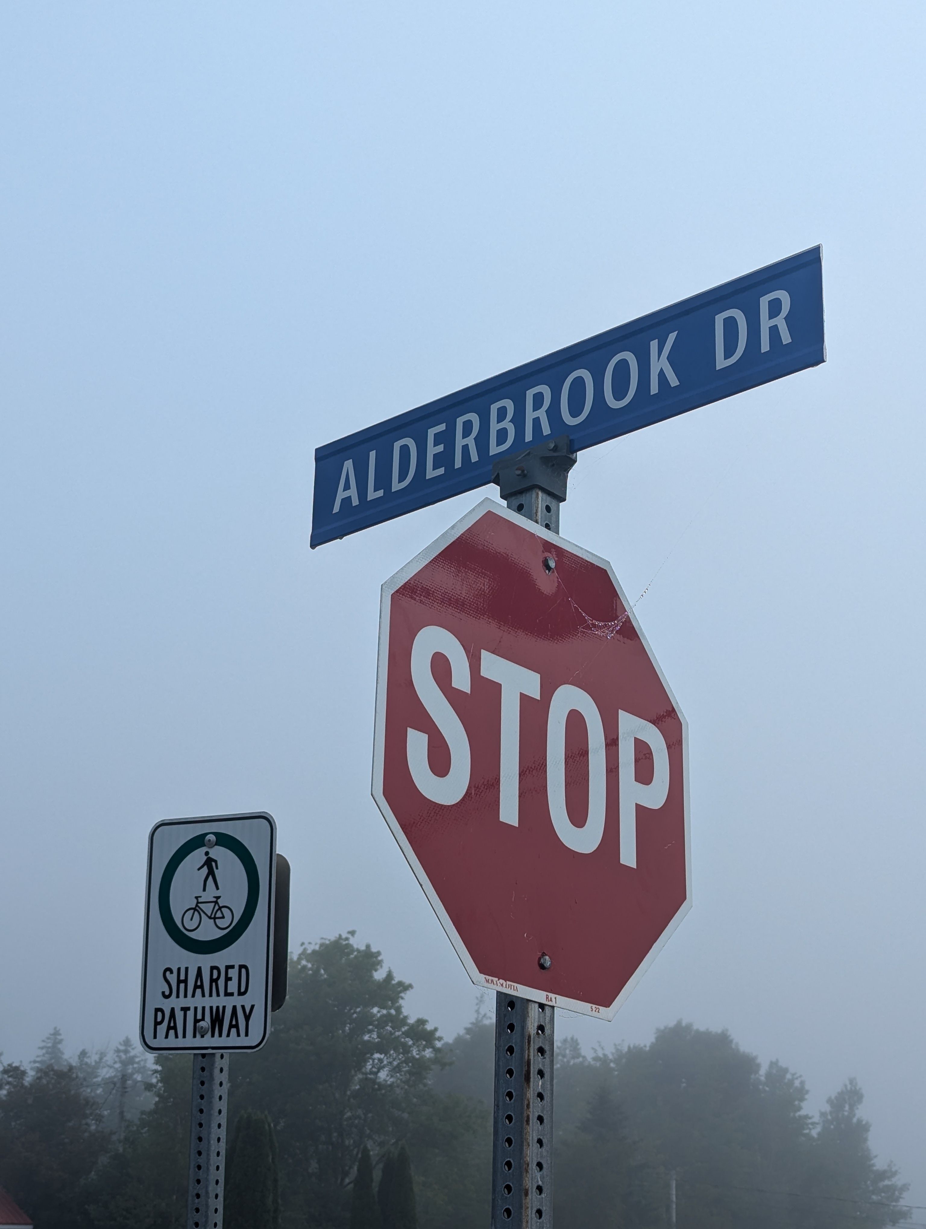 Stop sign and street sign in Truro's morning fog, highlighting road safety.