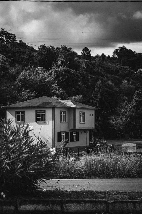 Free Captivating black and white image of a countryside house surrounded by lush trees. Stock Photo
