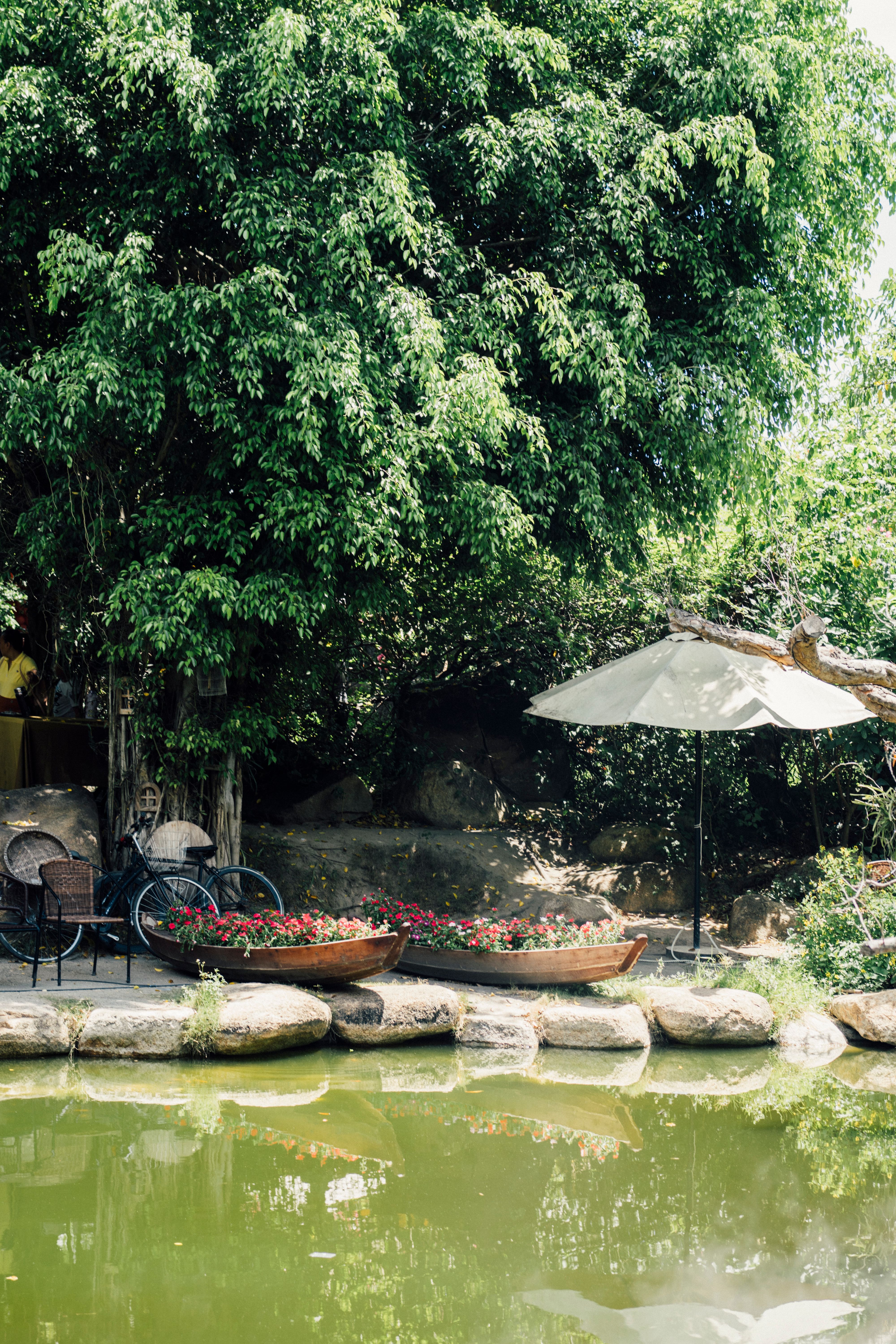 A serene garden scene featuring a pond, trees, chairs, and an umbrella, ideal for outdoor relaxation.
