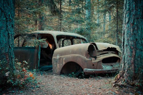 Free A vintage car wrecked and rusted over time, nestled among forest trees. Stock Photo