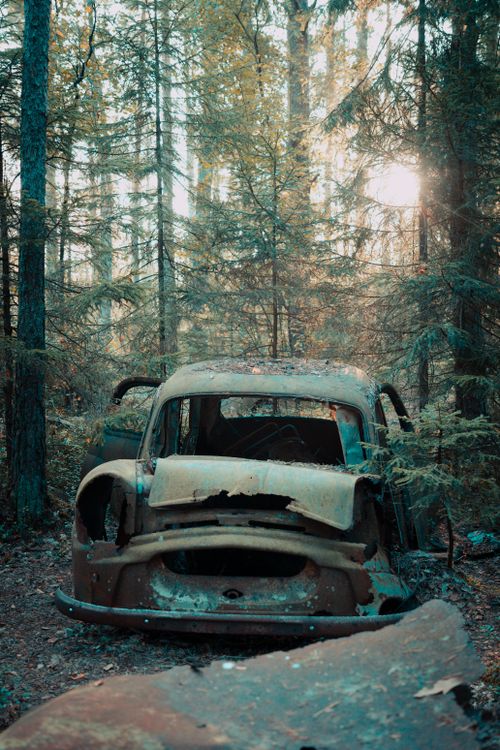 Free A vintage car left to rust amidst dense fall foliage in a tranquil forest setting. Stock Photo