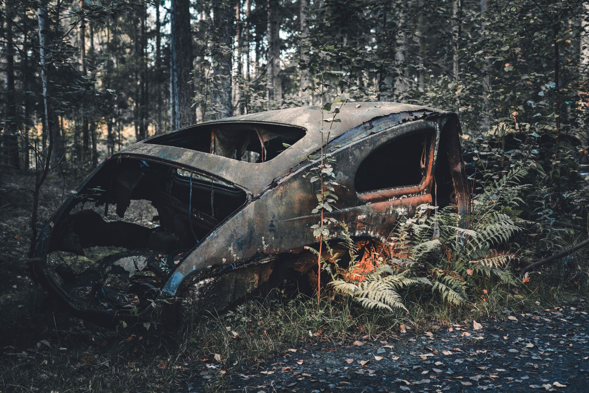 교통사고 통원치료비 실비보험 중복 보상 6 Decaying car wreck left in a dense forest, surrounded by nature's reclamation.