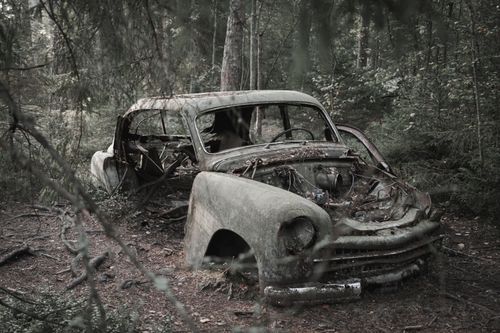 Free Old rusty car wreck abandoned in a dense forest, covered in moss. Stock Photo