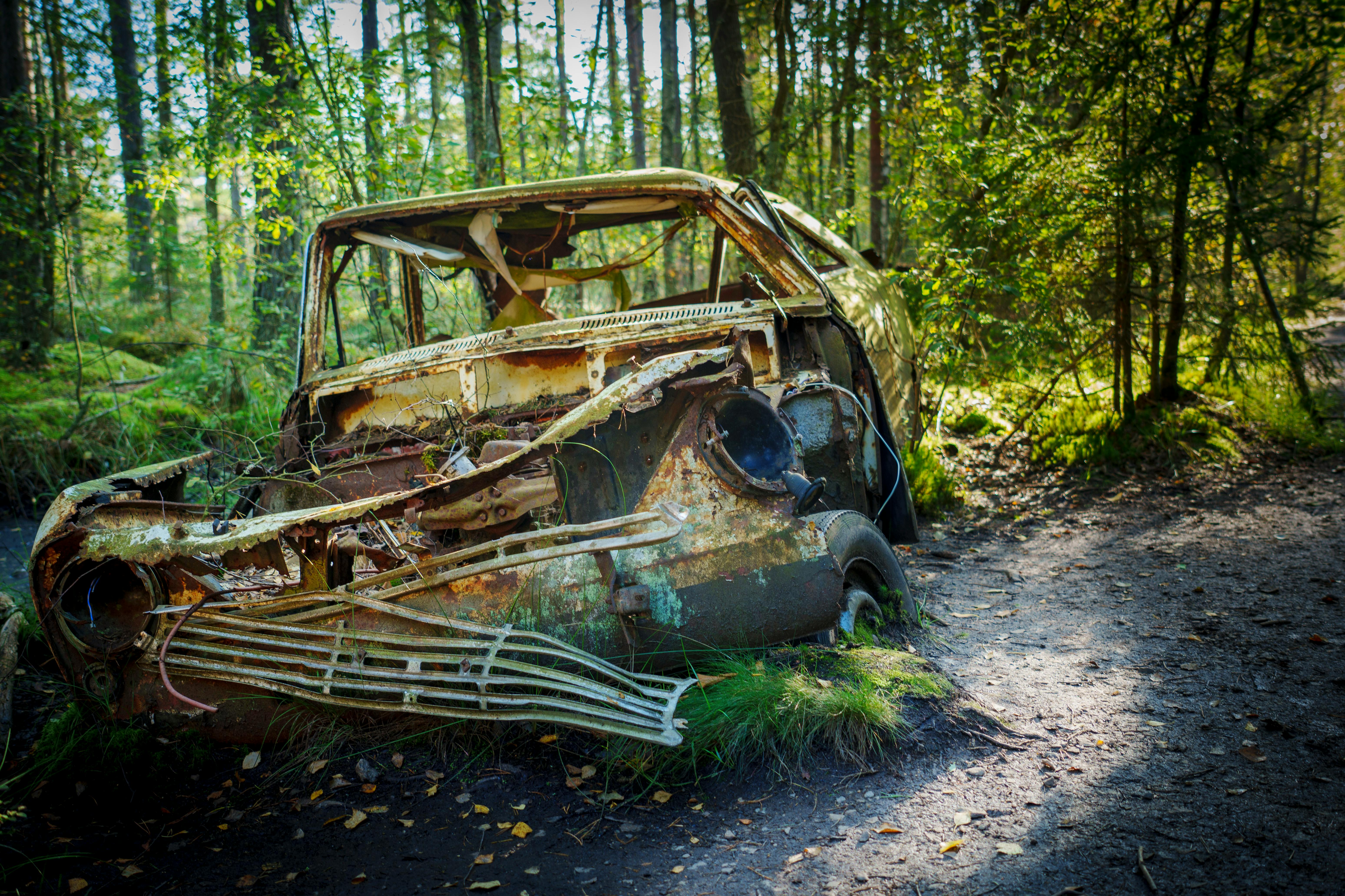 A car is sitting in the woods