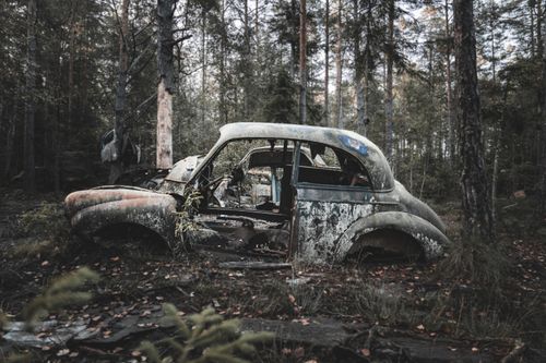 Free A rusted vintage car abandoned in a dense forest, capturing a serene outdoor atmosphere. Stock Photo