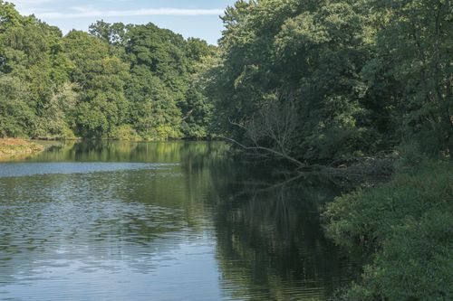 Free Tranquil lake surrounded by lush greenery in Waltham, Massachusetts, capturing serene summer scenery. Stock Photo