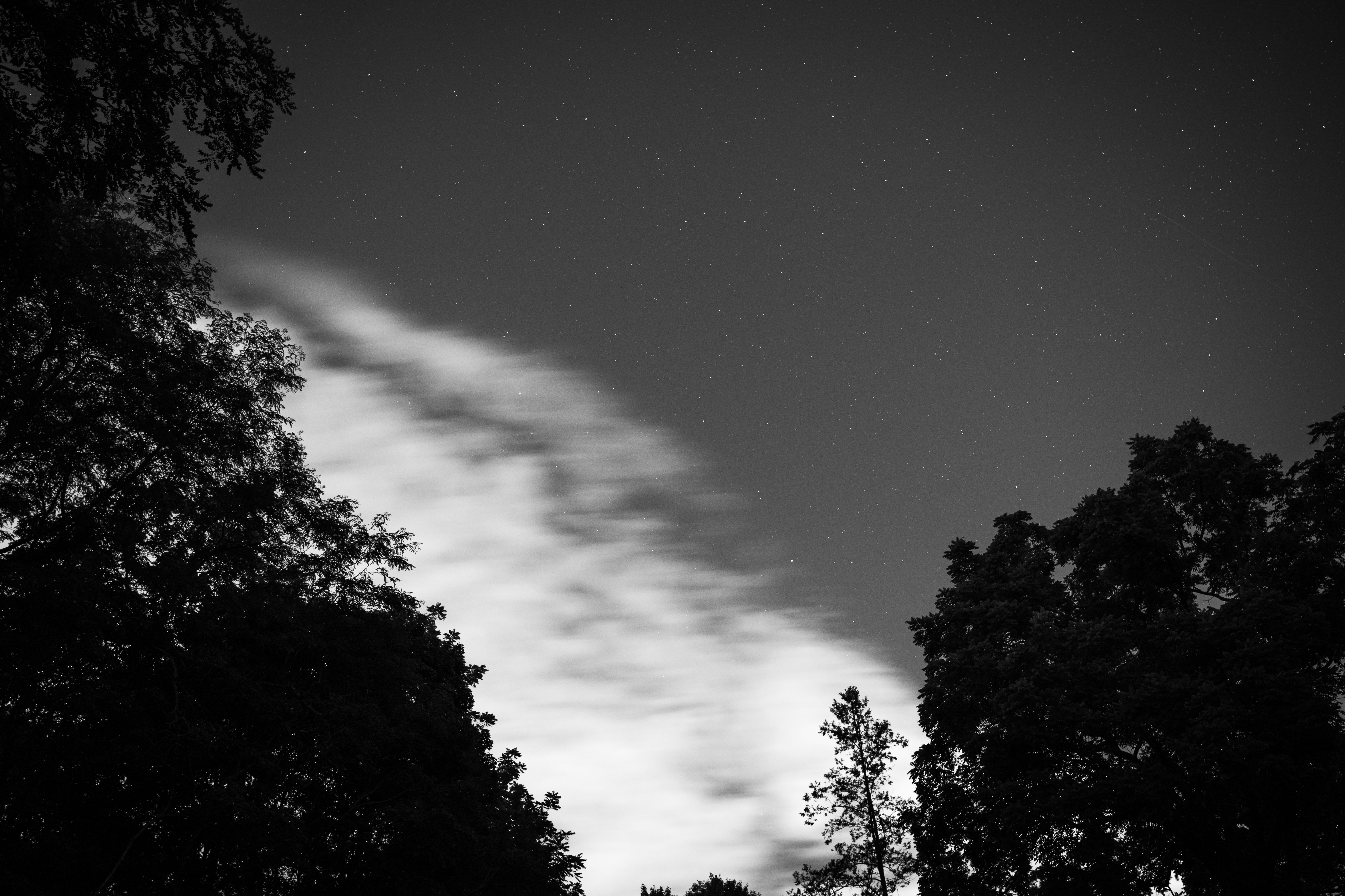 A black and white photo of the sky with trees · Free Stock Photo