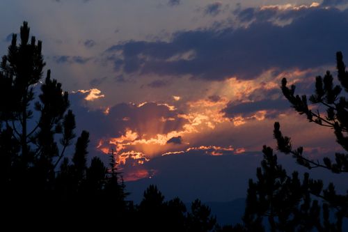 Free Dramatic sunset with silhouetted trees and colorful clouds in a serene landscape. Stock Photo