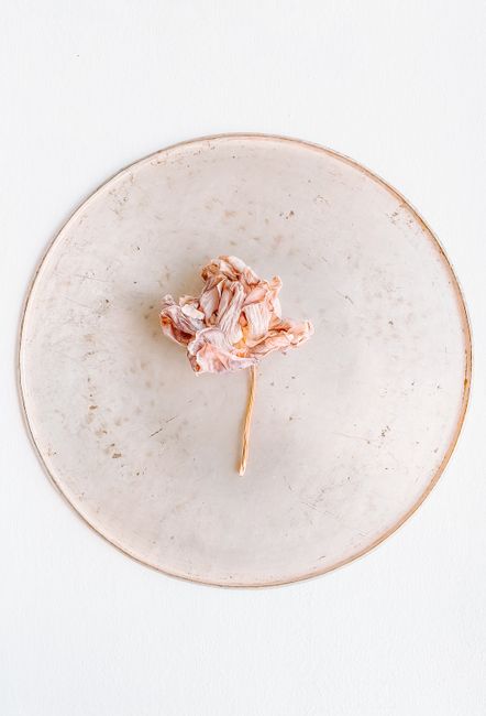 A single dried flower artistically placed on a round plate against a light background, emphasizing simplicity and minimalism.