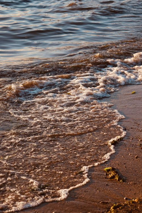 Free Serene seaside scene capturing gentle waves on a sandy beach during sunset, perfect for travel and relaxation themes. Stock Photo