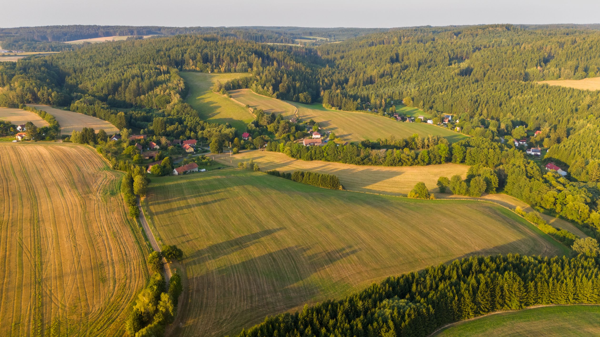 Deep Rural Area Trees Aerial view of a rural area with fields and trees · Free Stock Photo