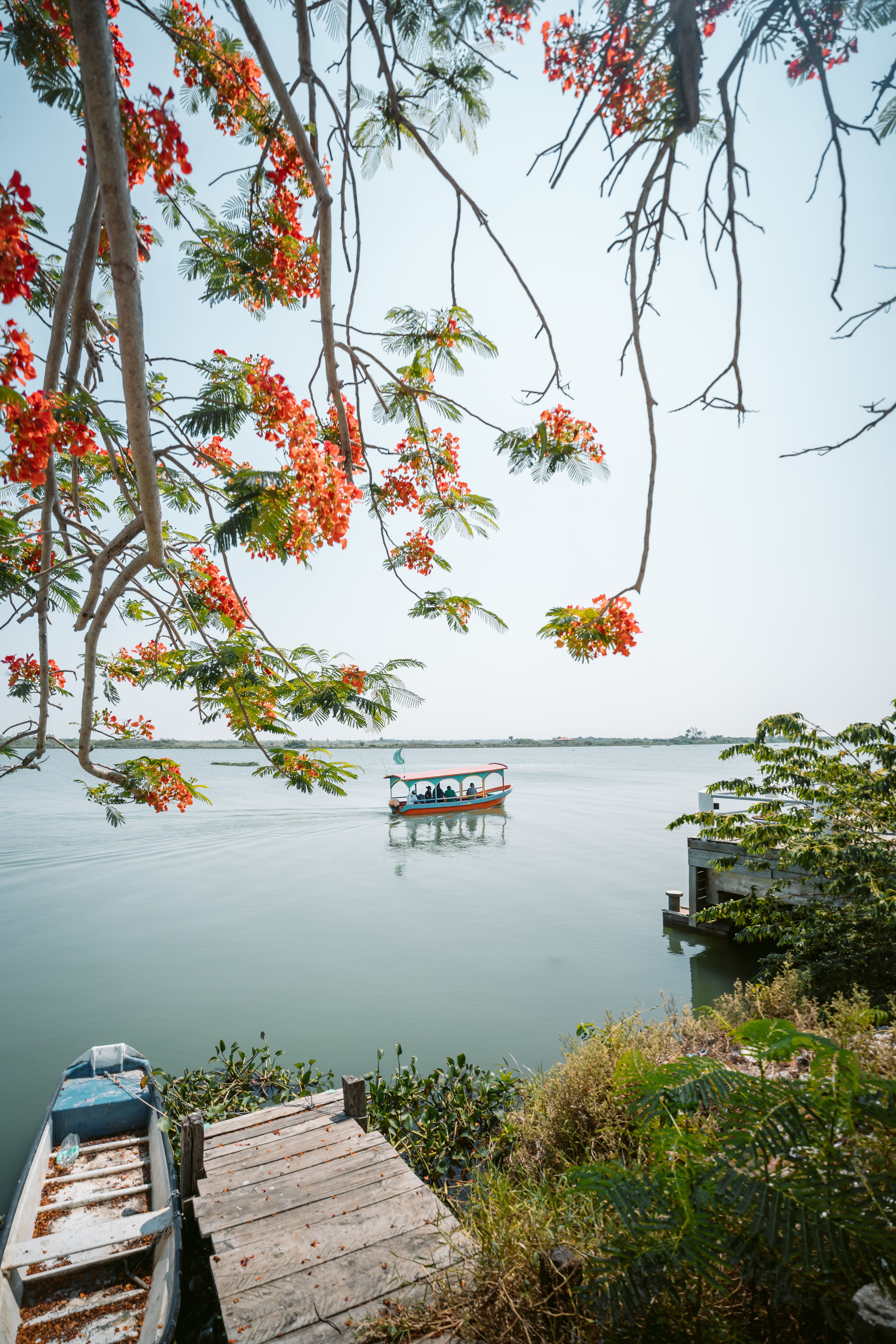 A boat is docked on the water next to a tree · Free Stock Photo