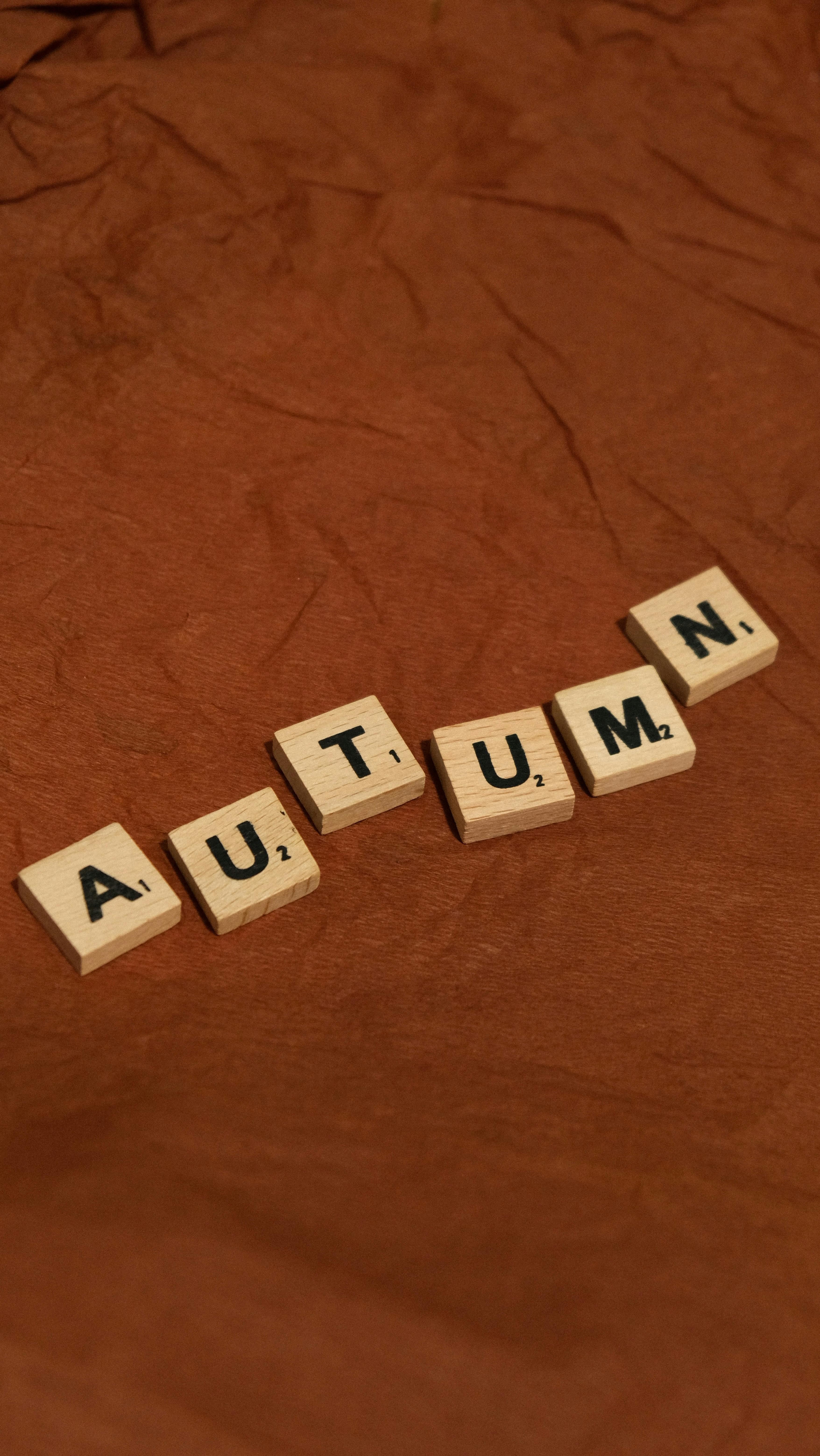 Gratis Foto stok gratis alfabet, artistik, bahan alami Foto Stok