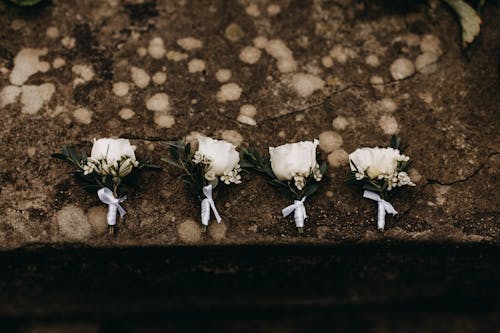 Four White Flowers