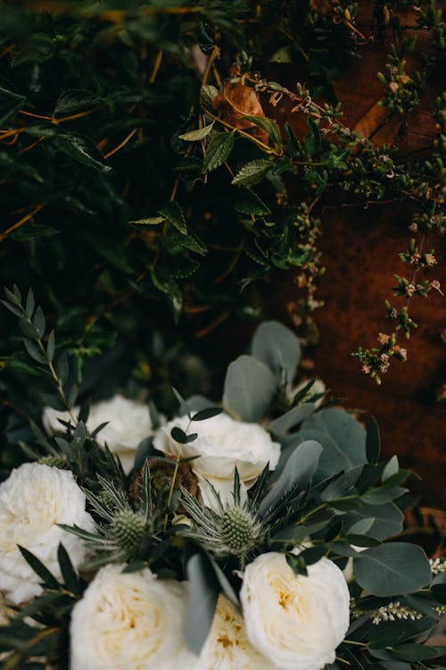 бесплатная Букет из белых роз Стоковое фото