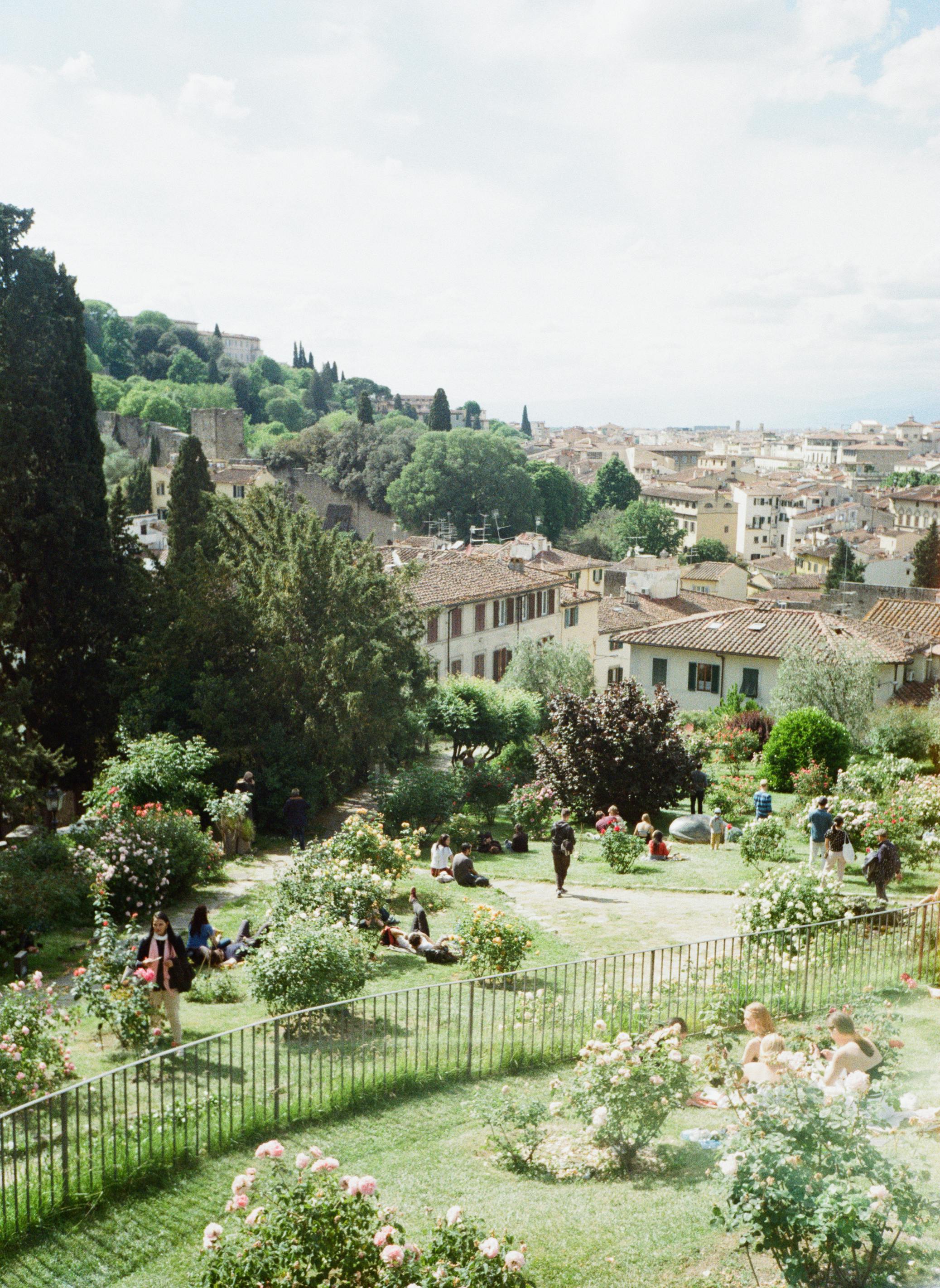 home garden