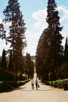 在意大利佛罗伦萨一条绿树成荫的优美小路上，一对夫妇手牵着手