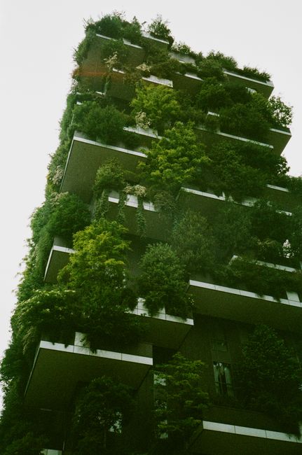 Sustainability in Design: Energy Efficiency and Water Conservation