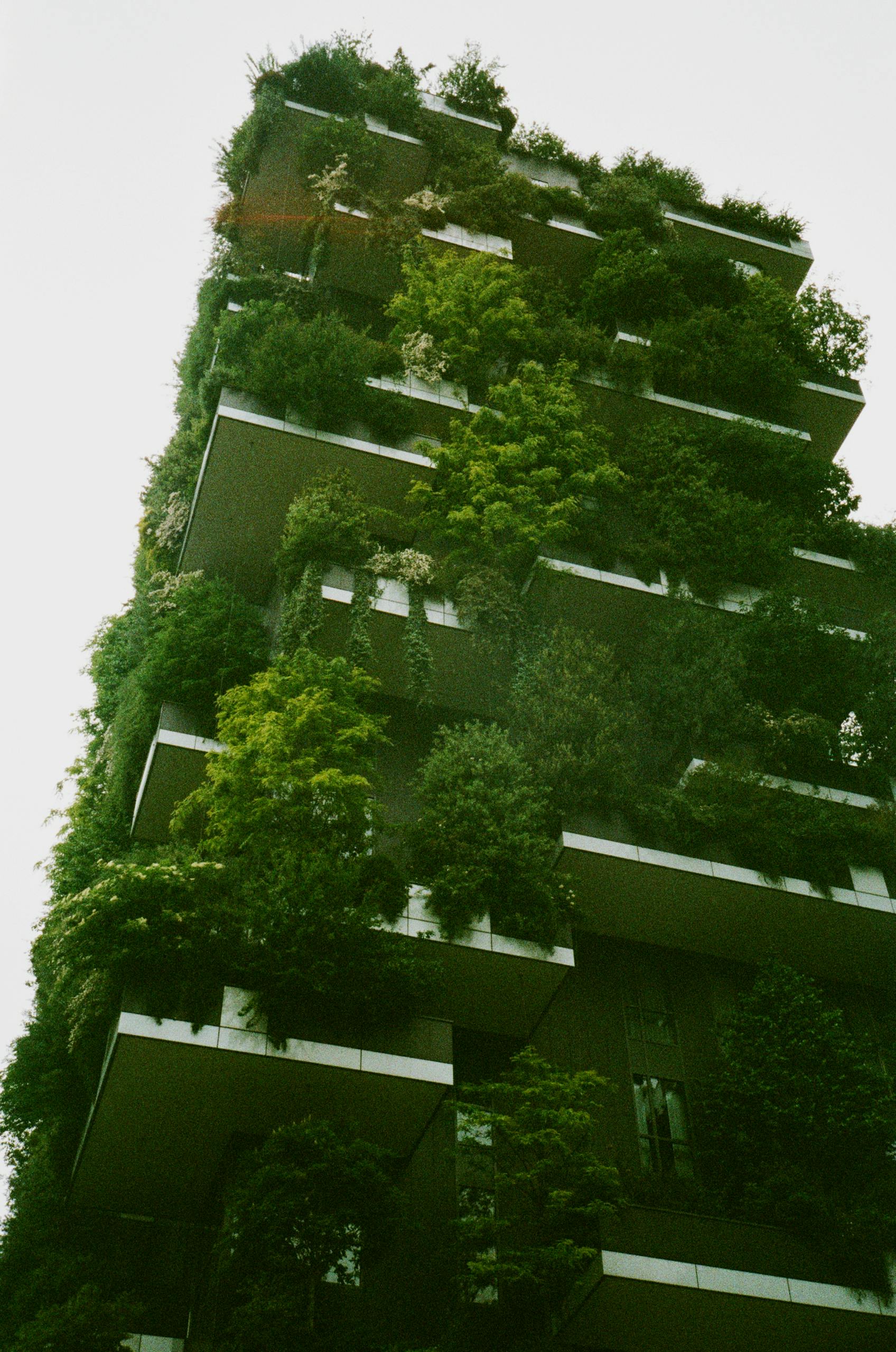 Green Building Photos, Download The BEST Free Green Building Stock Photos &  HD Images