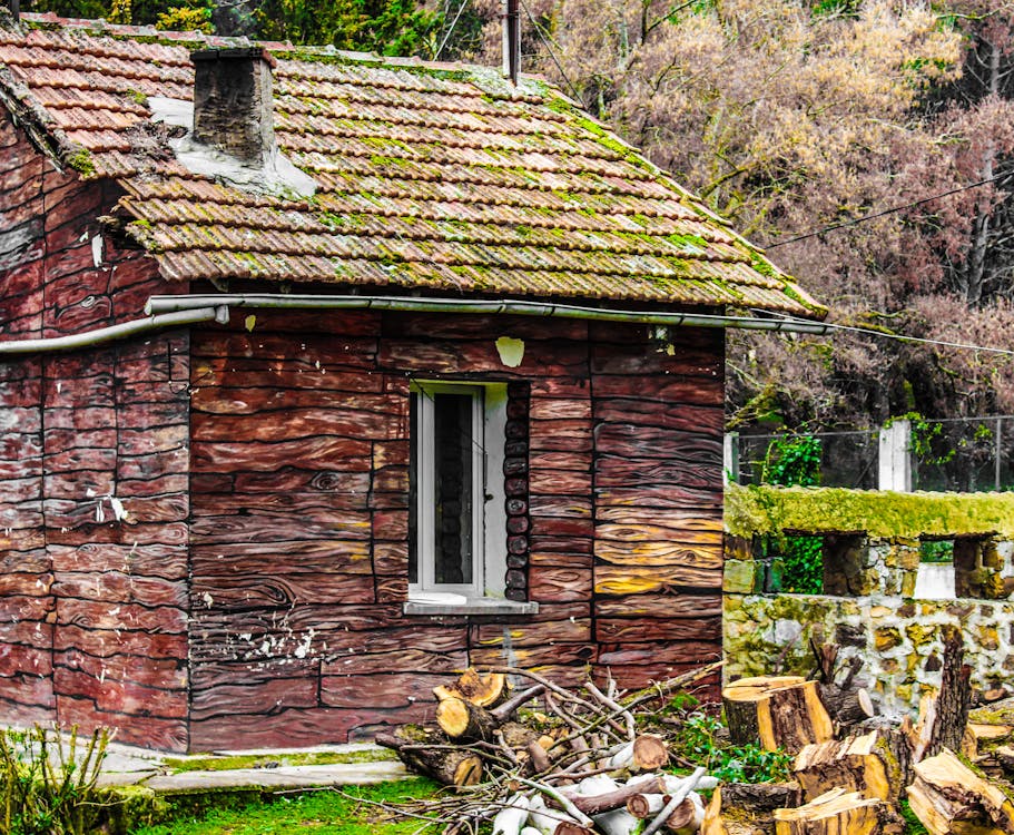 Základová fotografie zdarma na téma architektura, budova, bungalov