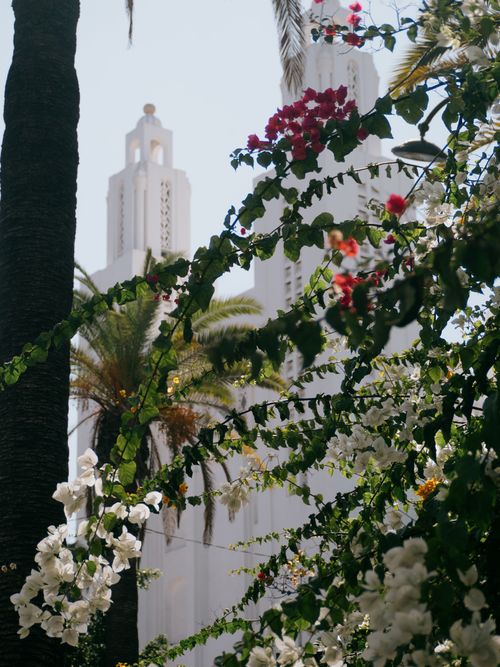 Free Cathedral of Casablanca Stock Photo
