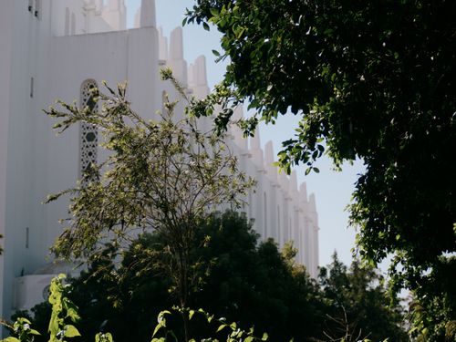 Free Cathedral of Casablanca Stock Photo