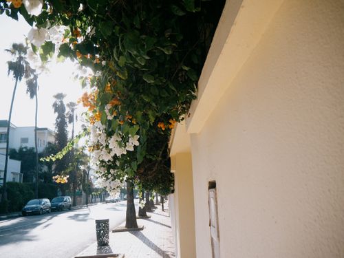 Free Streets of Casablanca Stock Photo