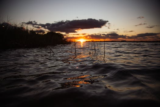 Tranquil sunset over rippling water and silhouetted horizon, creating a peaceful ambiance.