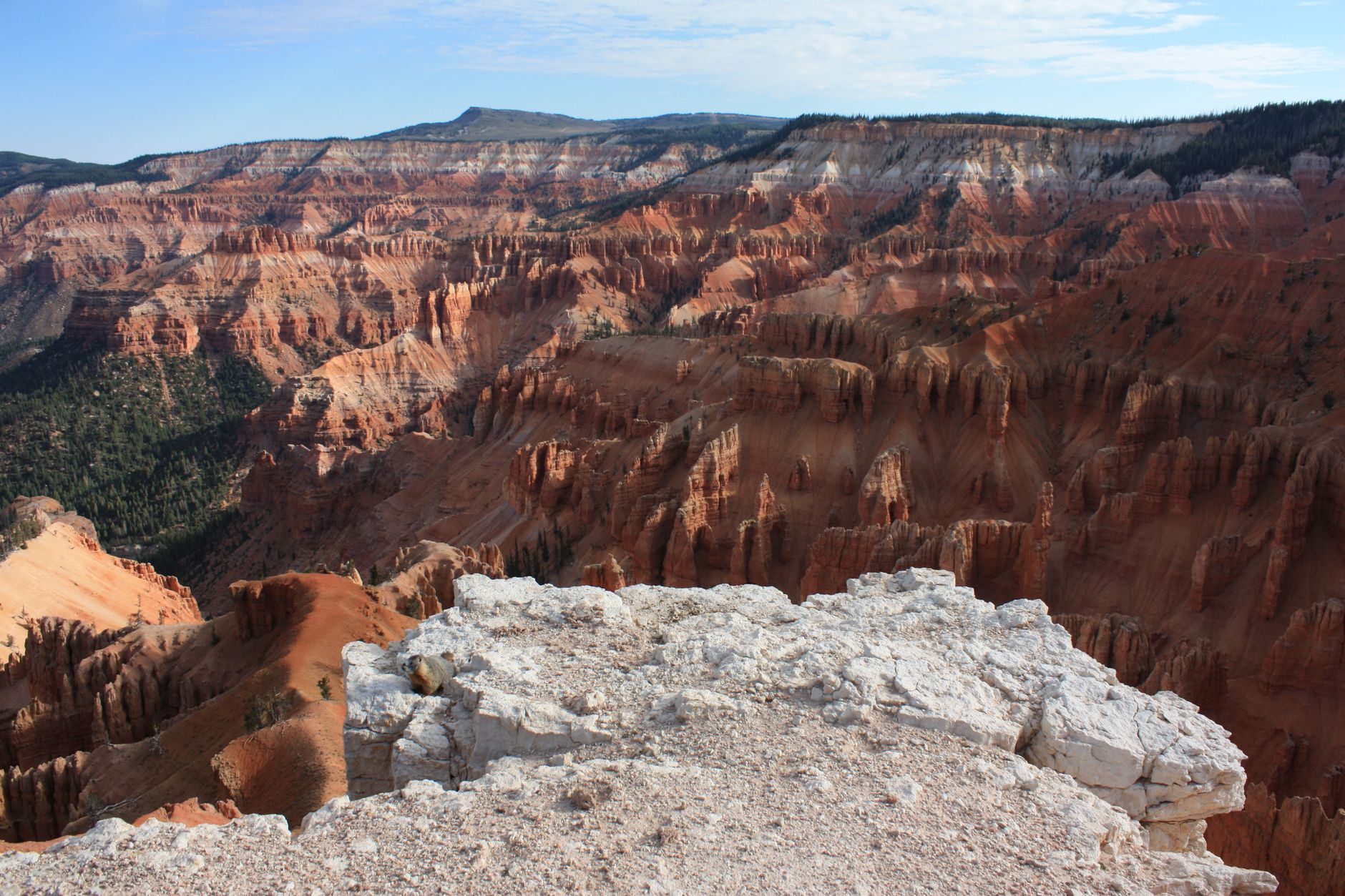 Explore the stunning landscape of Cedar Breaks National Monument, Utah, showcasing vibrant sandstone formations and rugged cliffs.