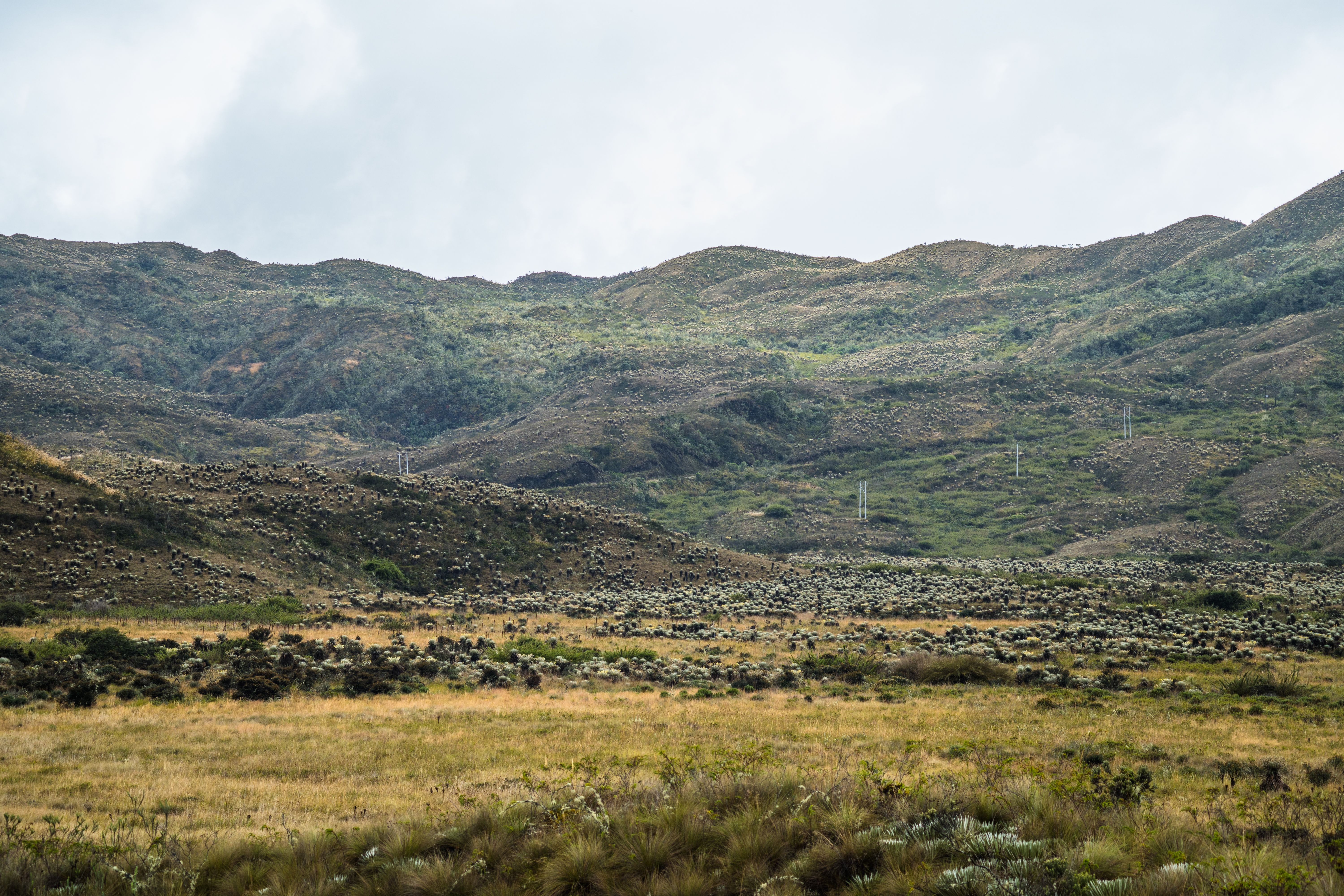 The Valley