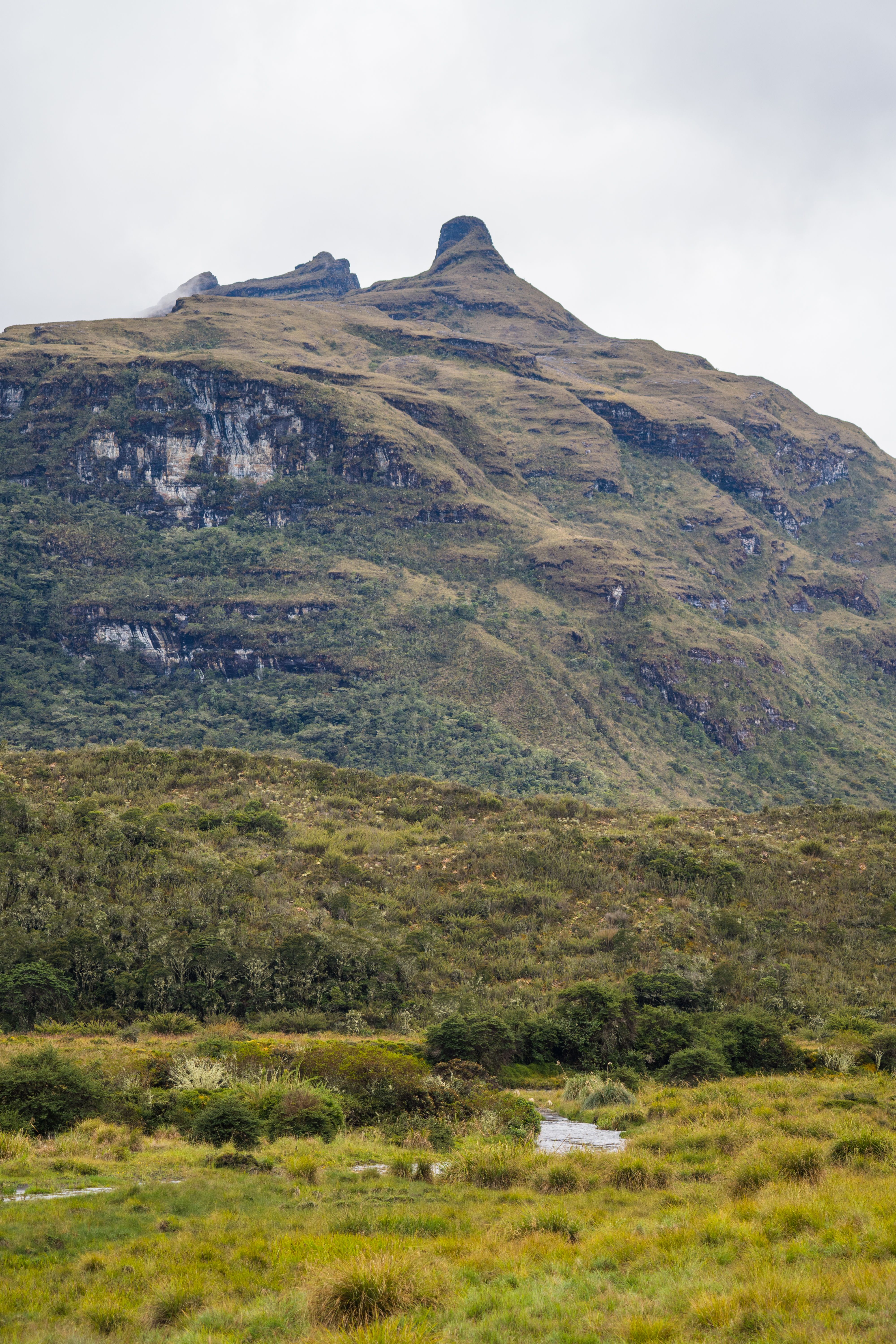 Explore the natural beauty of Guasca, Cundinamarca, Colombia with this stunning mountain view.