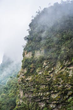 Explore the misty landscapes of San Francisco, Cundinamarca, Colombia's lush mountainsides.