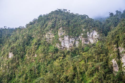 Explore the vibrant greenery and fog-kissed peaks of San Francisco, Cundinamarca, Colombia.