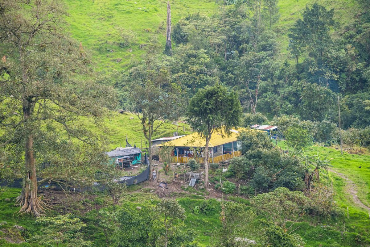 Finca La Esperanza