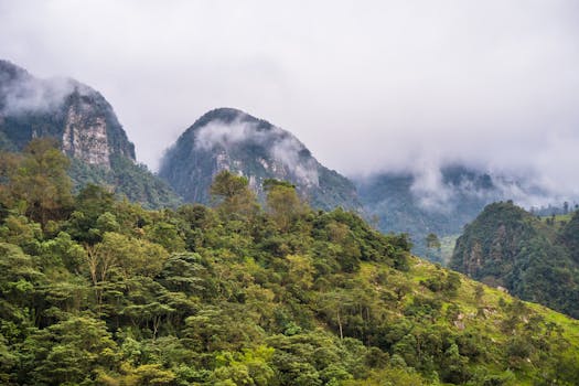 Lush, mist-covered mountains in San Francisco, Colombia, showcasing nature's beauty.