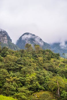Lush green Colombian mountains under a misty sky in San Francisco, Cundinamarca.
