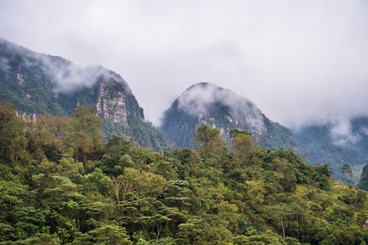 Lush green mountains in Cundinamarca, Colombia shrouded in mist and fog.