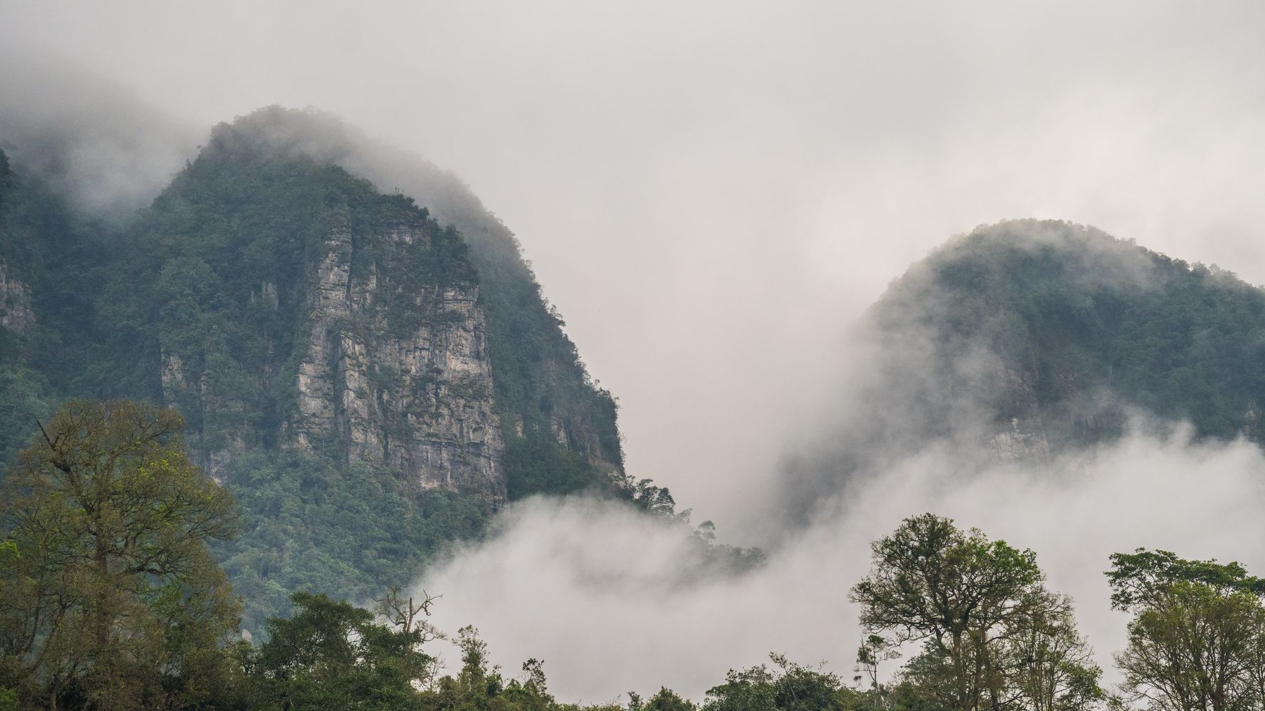 Ruhiger Blick auf neblige Berge und üppige Wälder in San Francisco, Cundinamarca, Kolumbien.