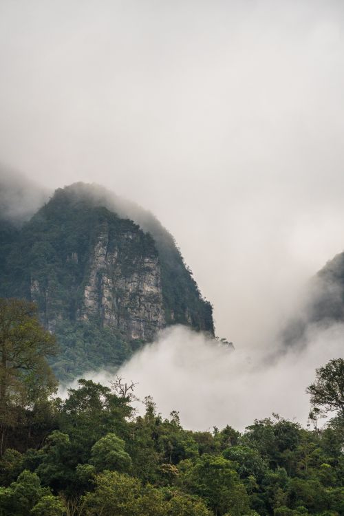 Free Foggy mountain view in San Francisco, Cundinamarca, showcasing lush greenery and mist. Stock Photo