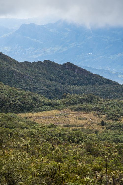 Free Lush green valleys and mountains in Choachí, Colombia, offer a peaceful natural escape. Stock Photo