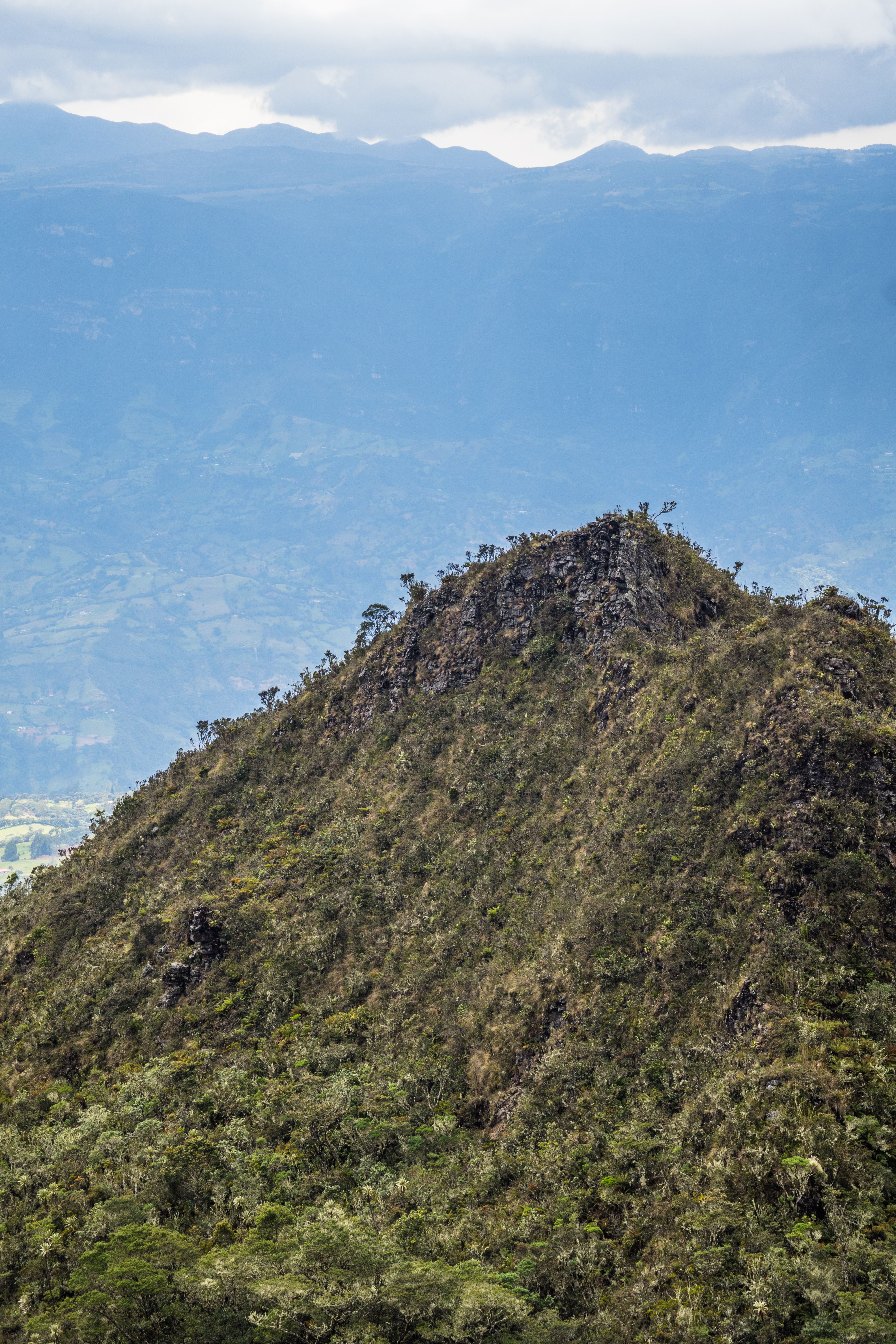 Fotomural Majestuoso paisaje montañoso en Choachí, capturando la exuberante vegetación y cielos dramáticos.