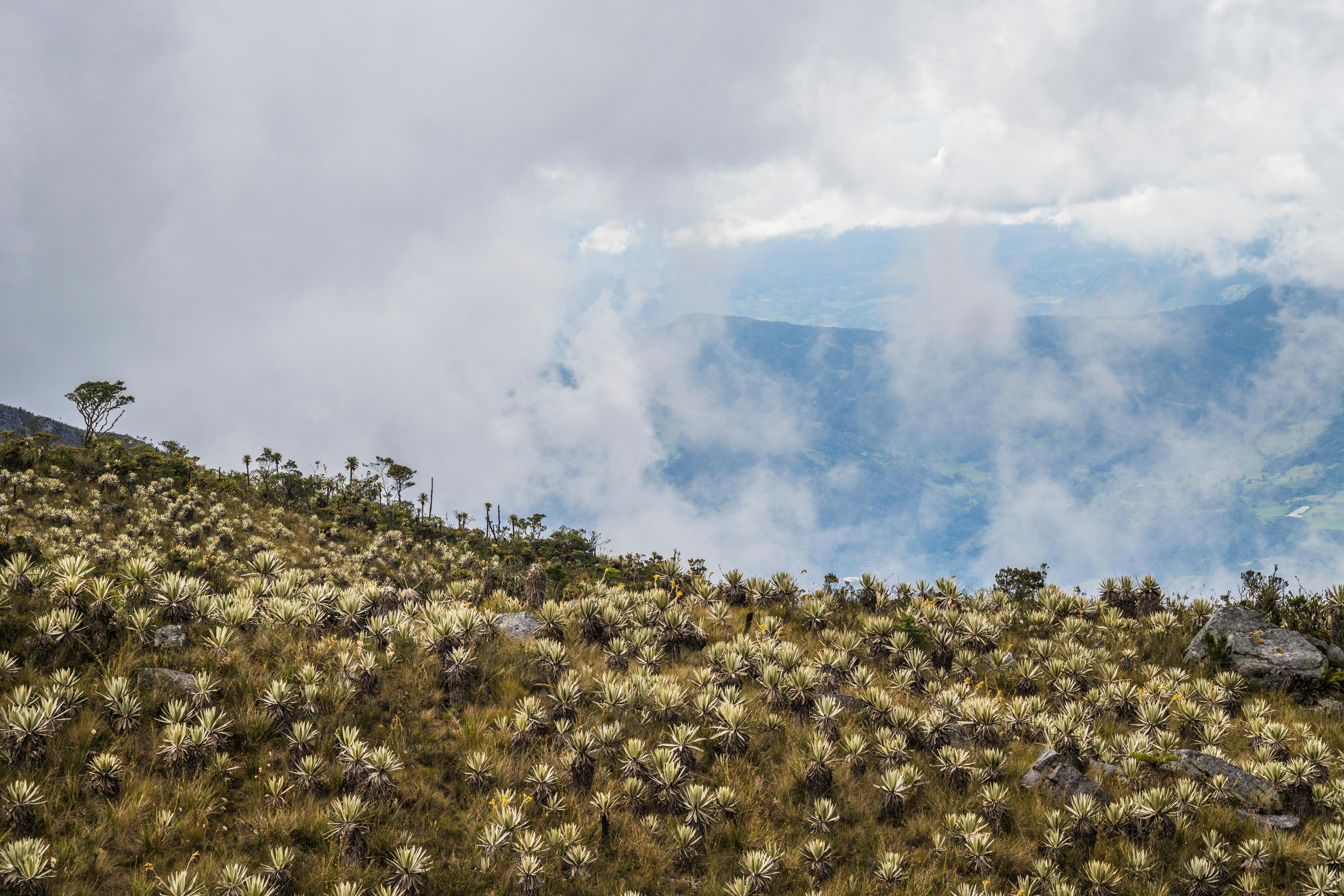 ecocidio penal ambiental sector petrolero Colombia Nisimblat Law Colombia