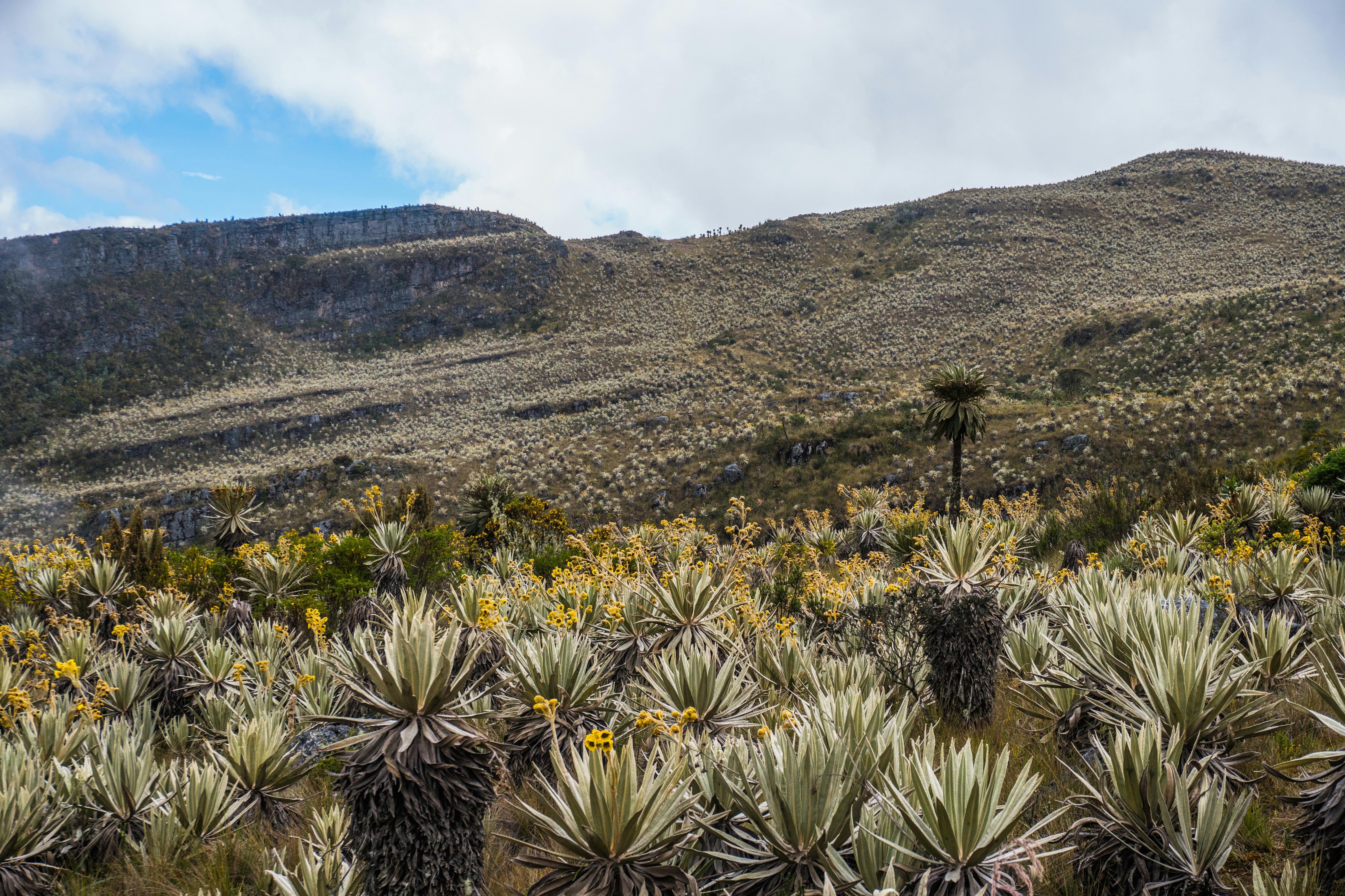 The Right Gear for Traveling Colombia by Motorcycle — Photo by Juan Felipe Ramírez on Pexels